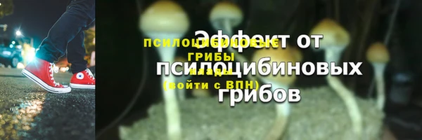 скорость Арсеньев