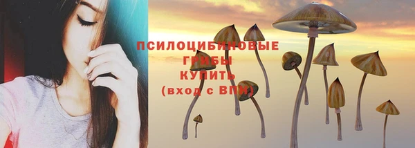 молекула духа Армянск