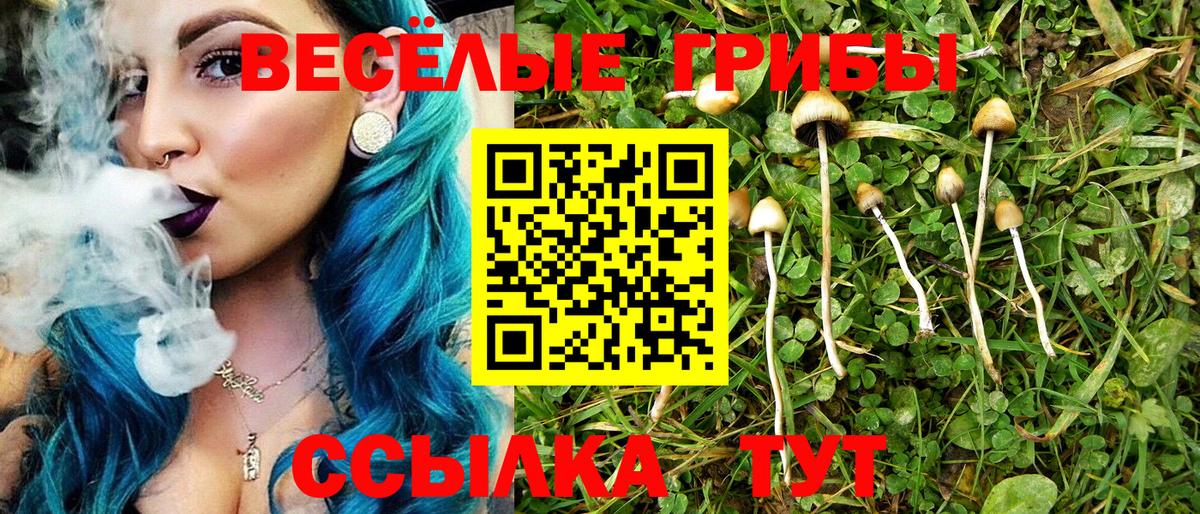 Галлюциногенные грибы прущие грибы Белово