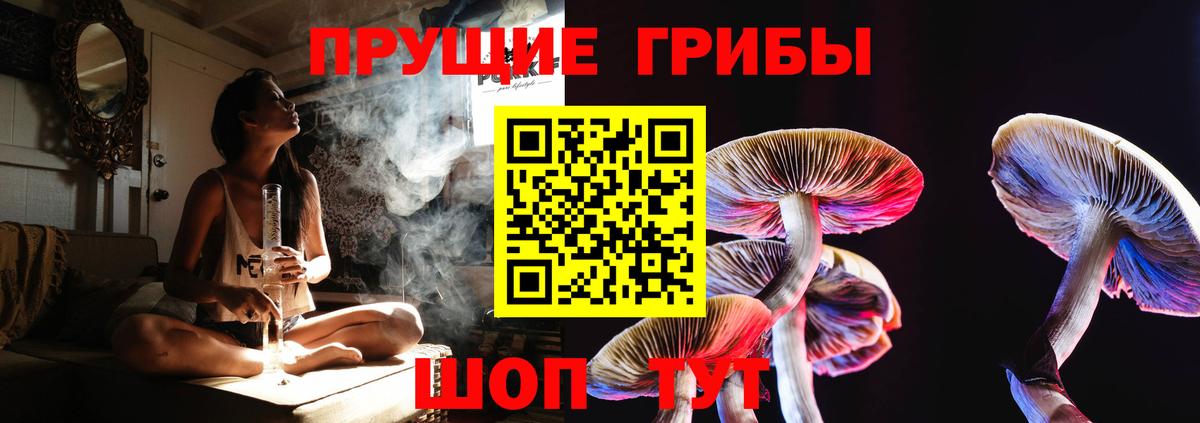 Псилоцибиновые грибы Psilocybe  Галлюциногенные грибы прущие грибы  Вход с VPN  Белово 